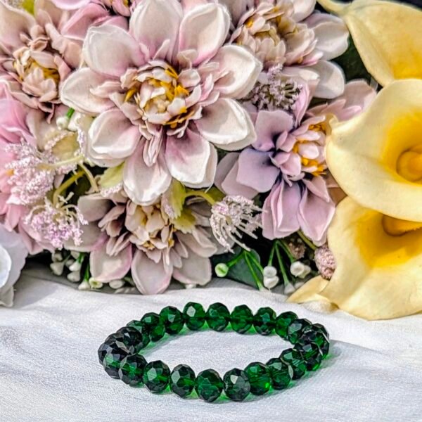 MONEY MAGNET COMBO (ARABIAN GREEN JADE + SALENITE PLATE)