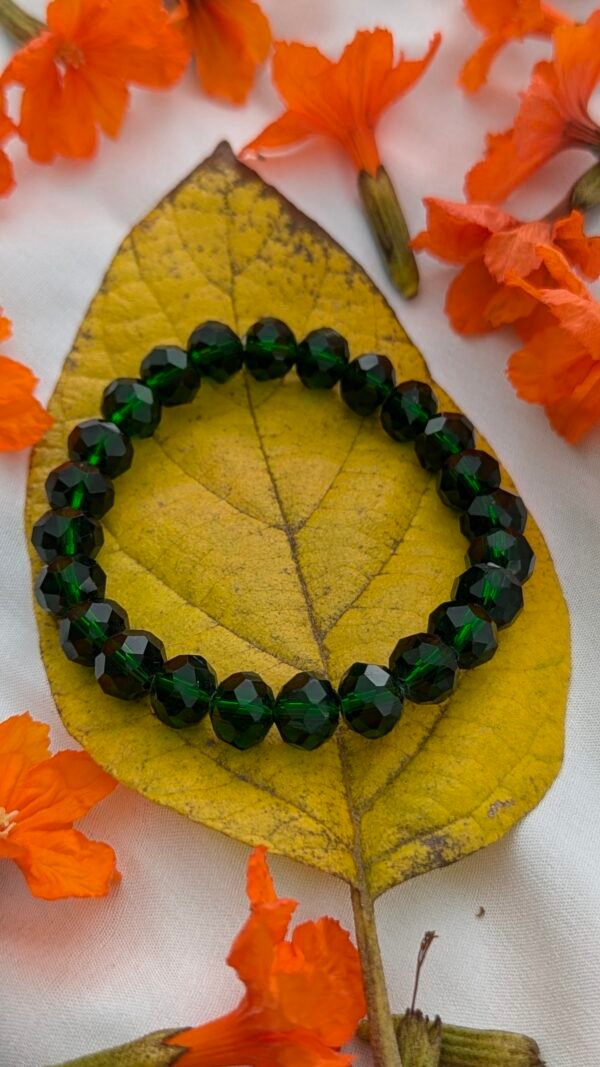 MONEY MAGNET COMBO (ARABIAN GREEN JADE + SALENITE PLATE) - Image 4